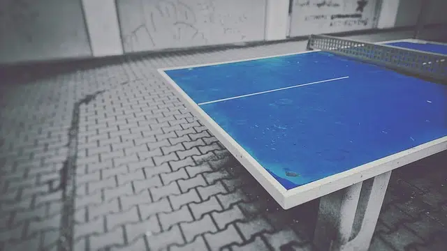 Paint-a-Ping-Pong-Table | PingPongExperts Paint a Ping Pong Table